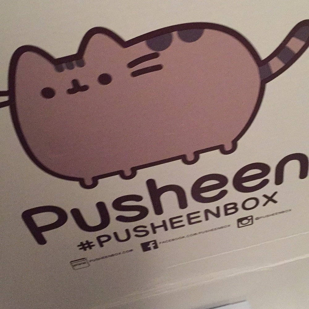 Pusheen vinyl figure